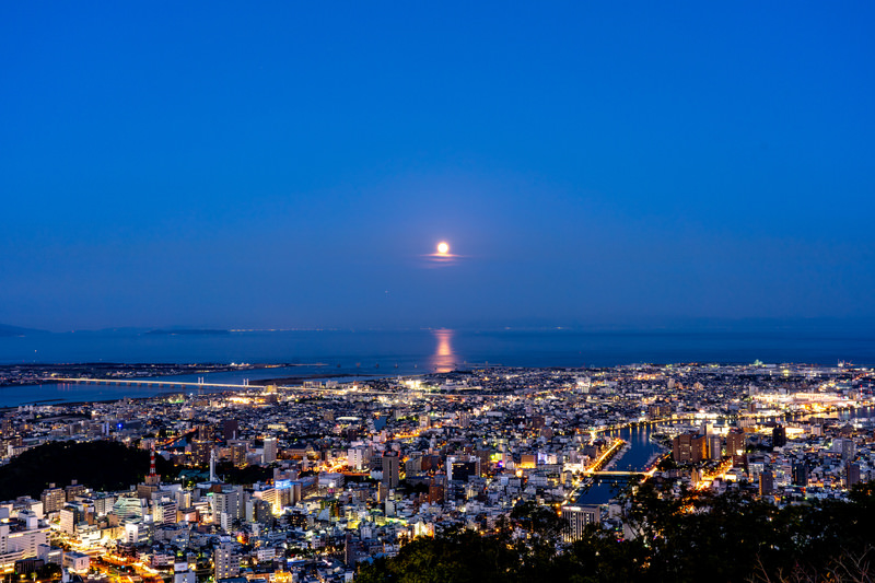 浮気調査　徳島