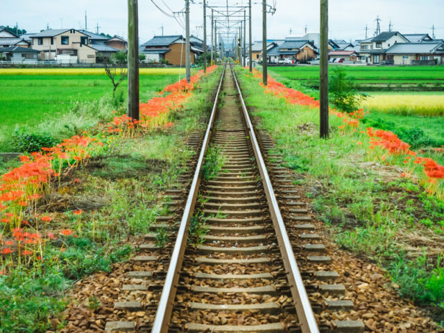 結局イケメンが好き