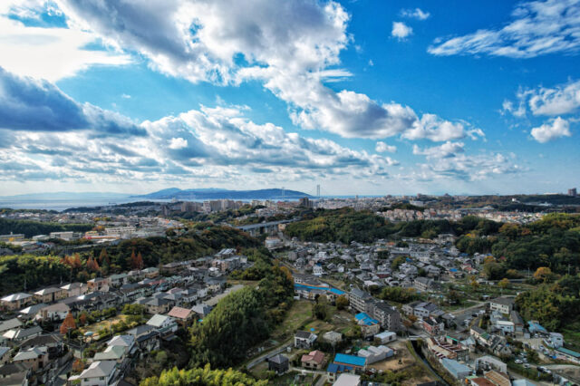 上野　占い