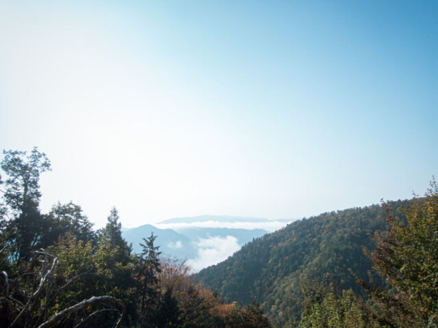 電話占いヴェルニ　清流