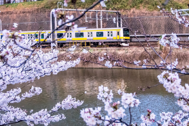 小金井市　占い