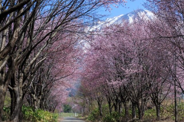 千里眼 アメ村 当たる先生