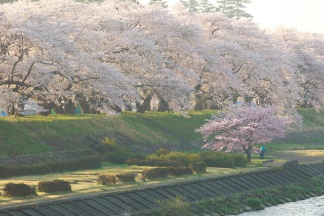 千里眼 静岡 口コミ